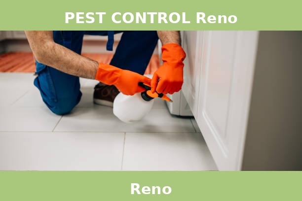 PEST CONTROL Reno